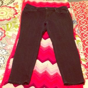 Size 18w Baby Phat Jeans- Spandangled Booty!